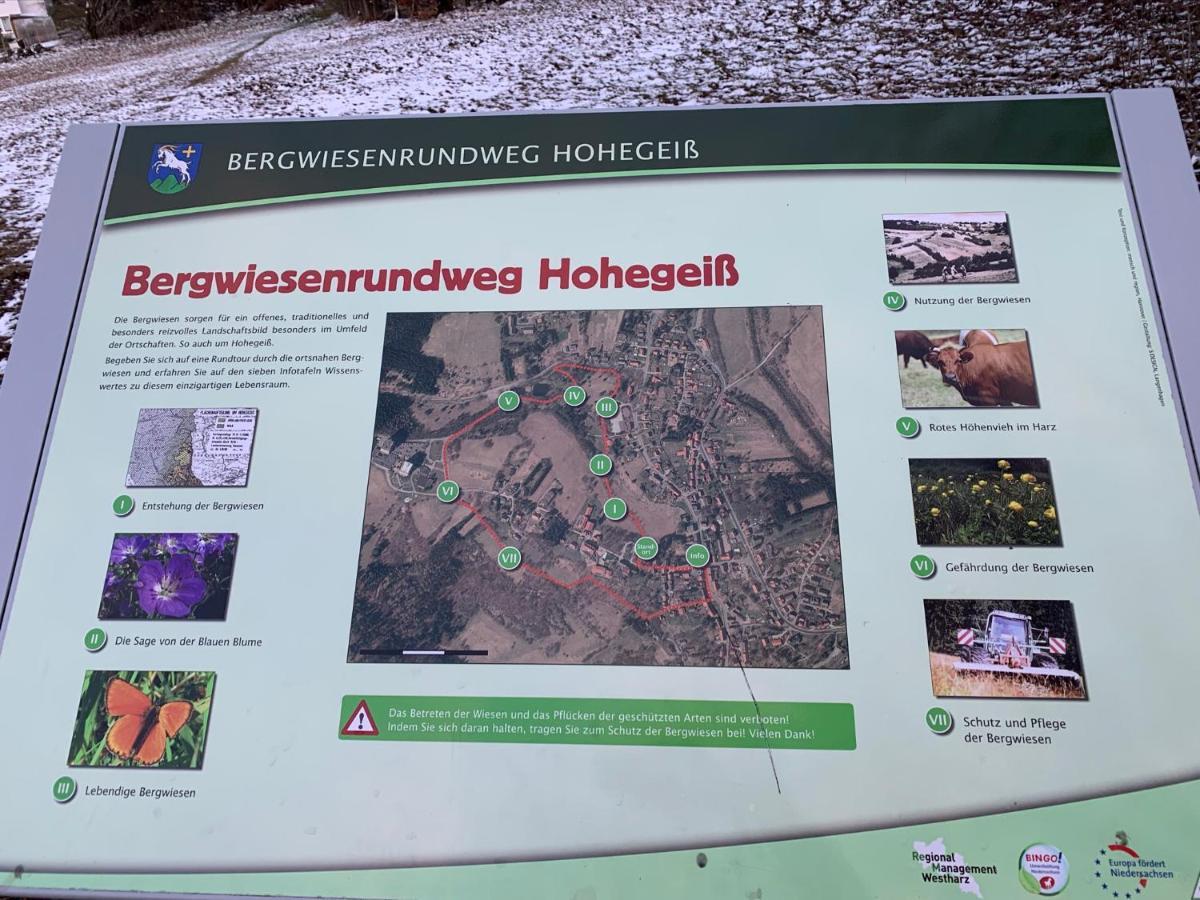 Gemuetliche Ferienwohnung Harz Braunlage Hohegeiss Extérieur photo