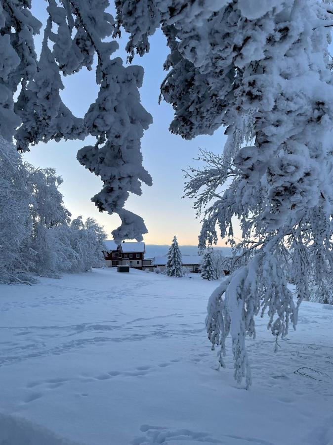 Gemuetliche Ferienwohnung Harz Braunlage Hohegeiss Extérieur photo