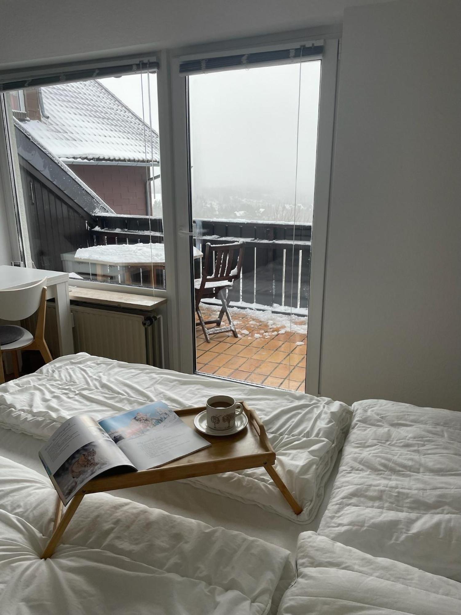 Gemuetliche Ferienwohnung Harz Braunlage Hohegeiss Extérieur photo